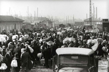 French deportations